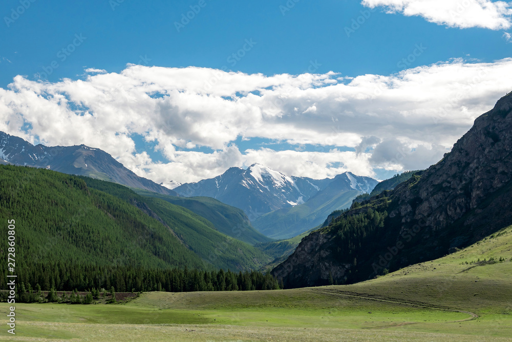 summer landscape with Altai mountains and glaciers. snow-capped peak of the glacier in the Altai.