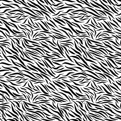 seamless pattern wild animal zebra