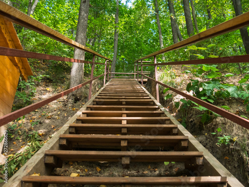 Fototapeta Naklejka Na Ścianę i Meble -  Wooden stair in the summer forest. Travel concept