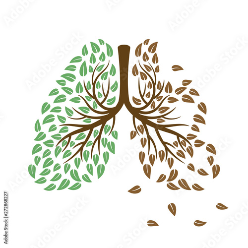 Healthy and unhealthy lungs vector concept. Respiratory system vector concept illustration