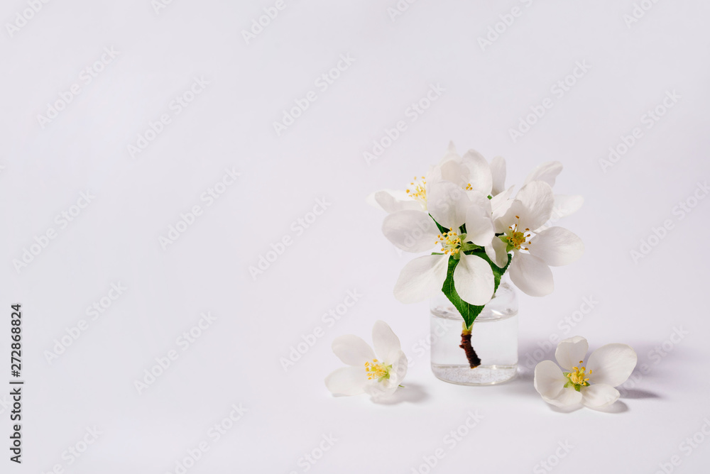 Spa natural cosmetic concept. White background with copy space for text. Spa natural cosmetic concept. White background with copy space for text.