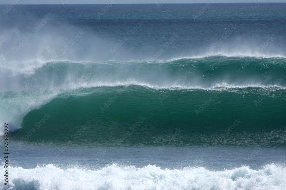 Fototapeta premium Twins