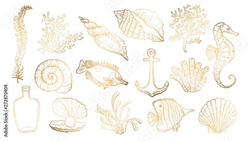 Sea shell, seaweed, anchor, seahorse, and fish. Hand drawn underwater creatures.