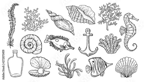 Sea shell, seaweed, anchor, seahorse, and fish. Hand drawn underwater creatures.