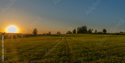 Yellow sunset on green grass field near Roprachtice village