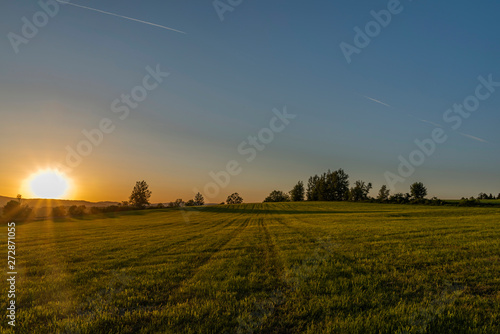Yellow sunset on green grass field near Roprachtice village