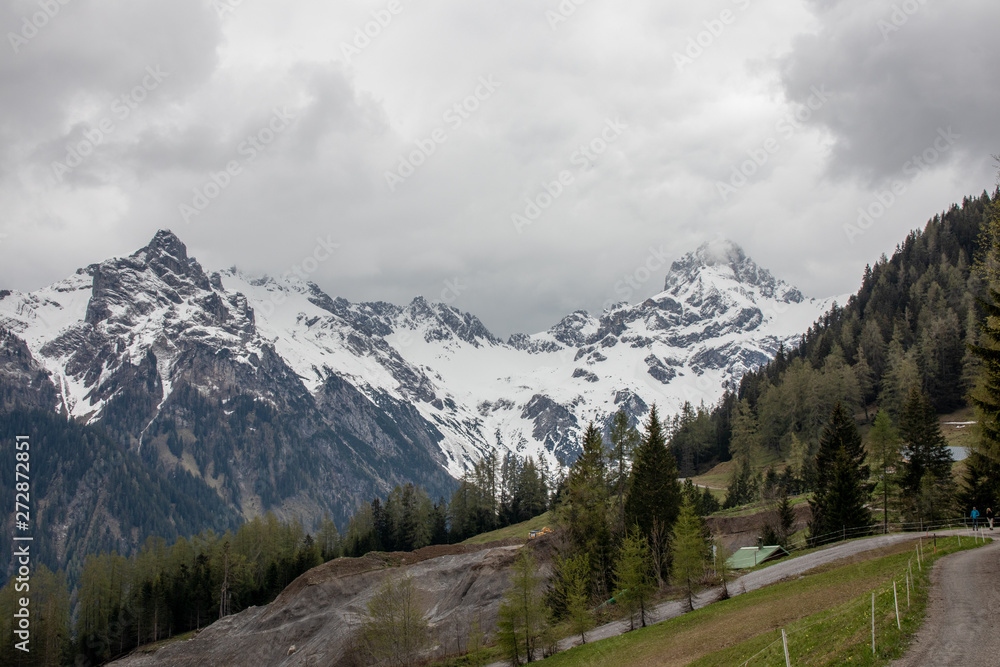 Panorama of an alpine landscape with high mountains, green meadows and trees in spring with snow in Austrian Alps