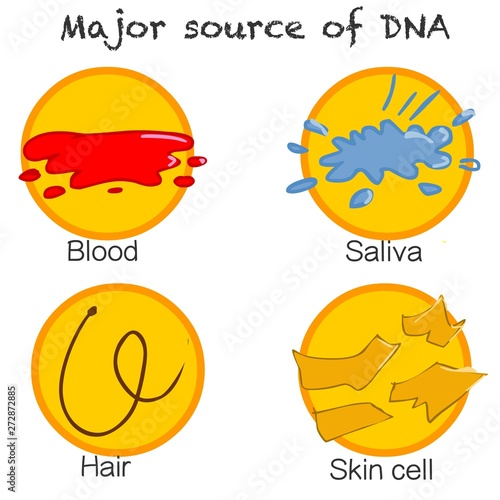 Isolation DNA.  Major source of DNA. DNA is found in all our Cells, Body Fluids and Tissues. Blood, Sweating, Saliva, Semen Urine, Hair, Feces, Vomiting. Brush drawing vector illustration