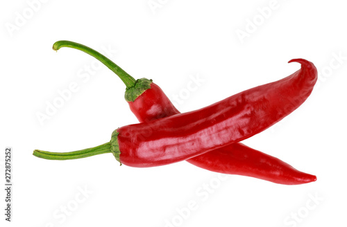 Photo two hot red jalapeno peppers on white background