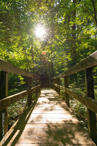 Sun lit wooden walkway