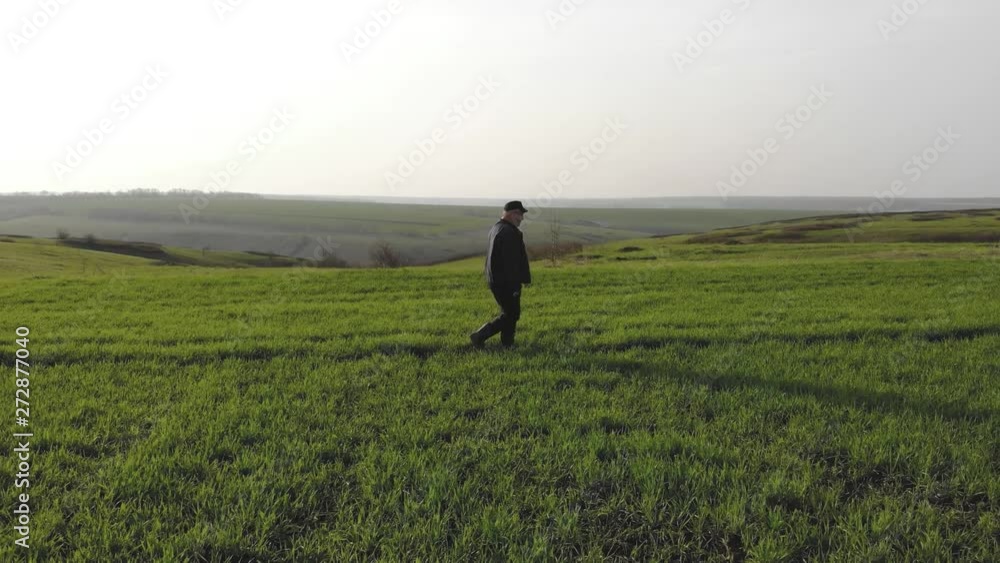 A mature farmer looks at a fresh green field after winter, he makes plans for harvesting and preparing for sowing. A mature farmer looks at a fresh green field after winter, he makes plans for harvesting and preparing for sowing.