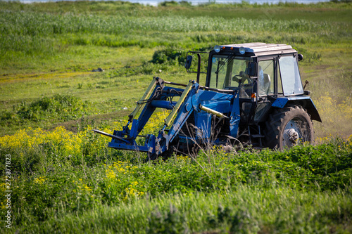 Tractor rides on the field. Summer sunny day. Blooming colza. Russian province.