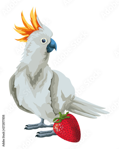 parrot wild cockatoo icon cartoon