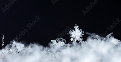 snowflake in the snow, winter