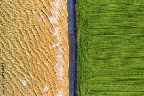 Field and sea as a background. Agricultural landscape from air. Landscape fro...