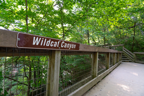 Wildcat Canyon railing