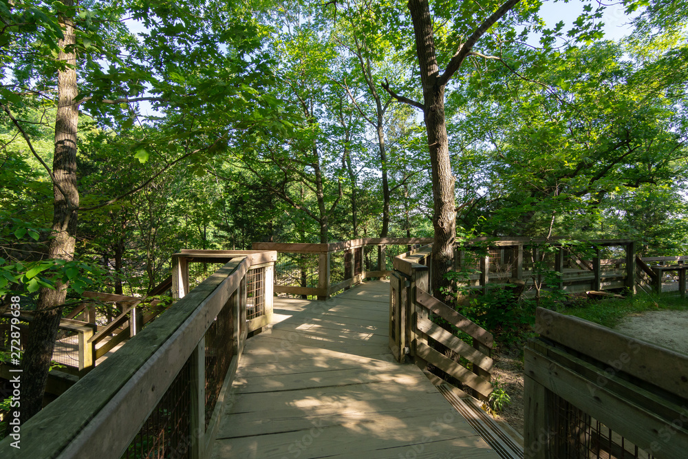 Wooden walkway in Starved Rock