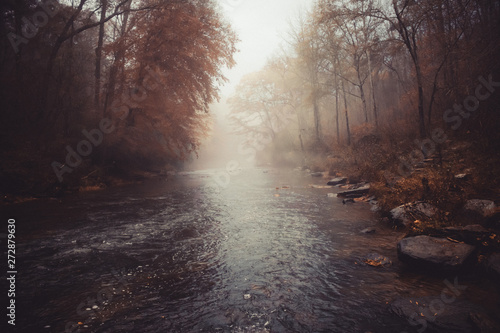 fog over a river during autumn