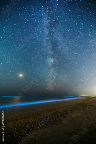 Long exposure shot of glowing plankton on sea surf and milky way. Blue bioluminescent glow of water under the starry sky. Rear nature phenomenon. Bright Mars planet among constellations in night sky.