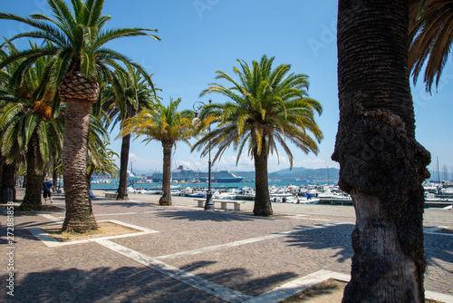 Palmiers dans le port de la Spezia