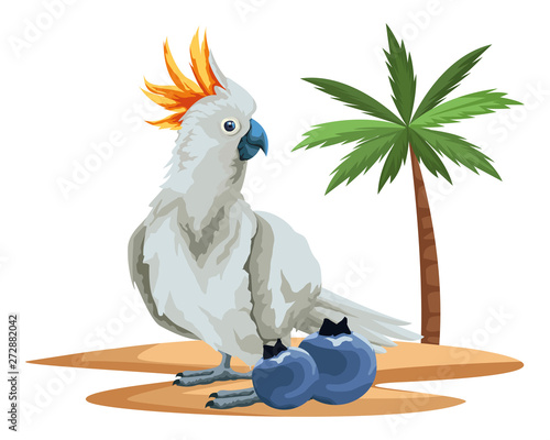 parrot wild cockatoo icon cartoon