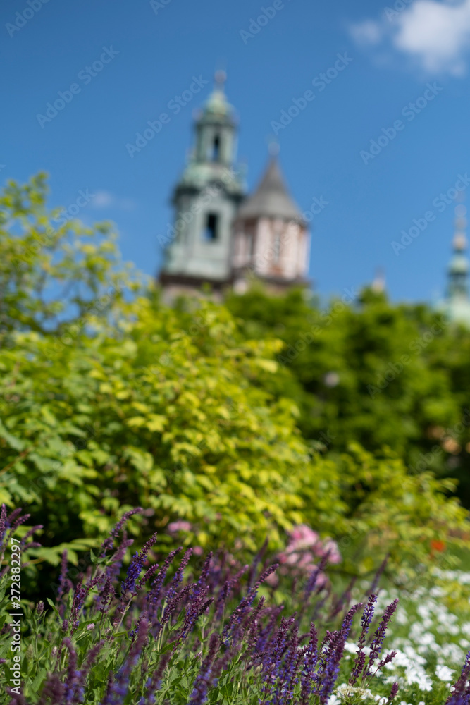Wawel Castle and flowers in Krakow, Poland Wawel Castle and flowers in Krakow, Poland