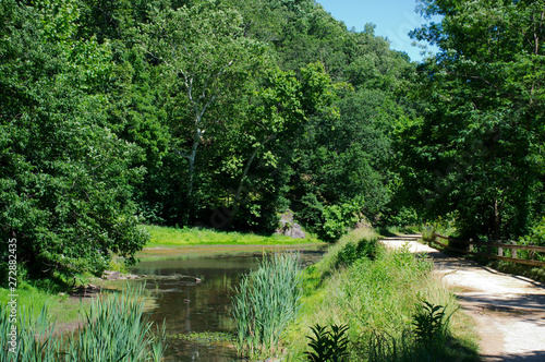 The Chesapeake and Ohio Canal towpath just below Lift Lock 18