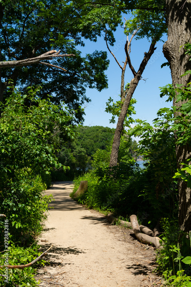 Fototapeta premium Along the River Trail