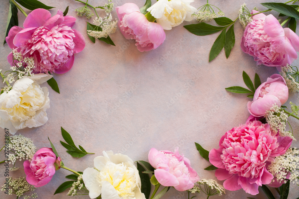 Fototapeta Decorative background with pink in white peonies, space for text, greetings.