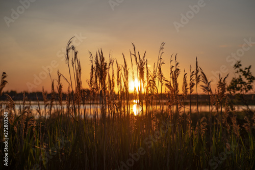 sunset over the lake