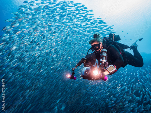 Diver in bait ball in coral reef of Caribbean Sea around Curacao at dive site Playa Piskado