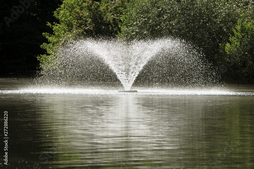 A small fountain in the lake. Against the backdrop of trees