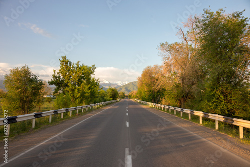 Wallpaper Mural asphalt road to the village on the background of the mountain Torontodigital.ca