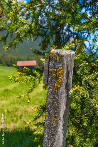 Zaunpfahl aus Holz mit Flechten photo