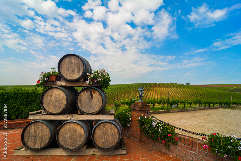 Old wooden wine barrels with vineyard in the background