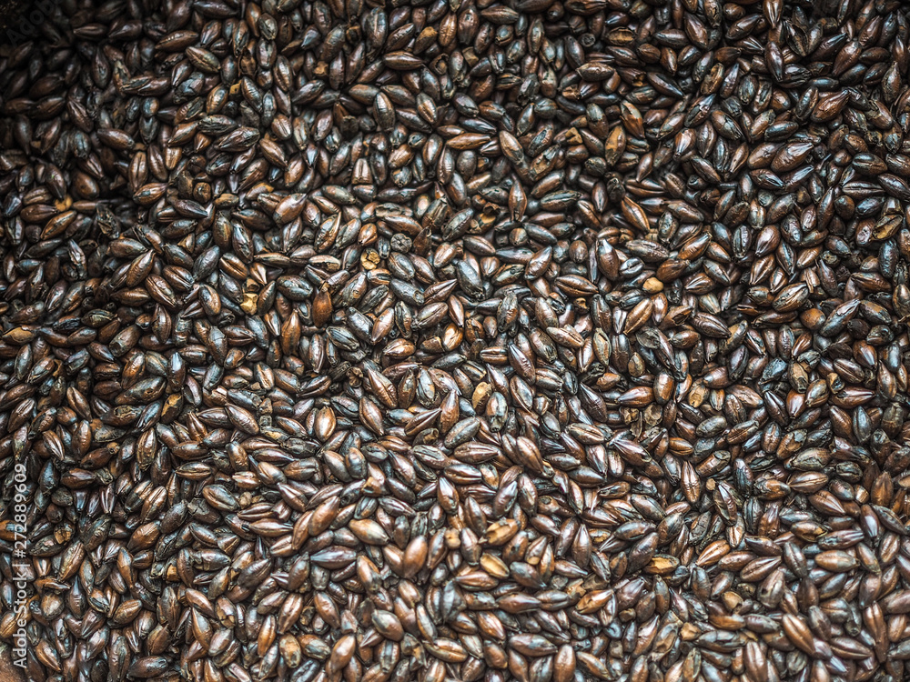 Dried and roasted Barley Malt for brewing beer.