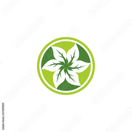 Abstract leaf modern logo vector graphic download
