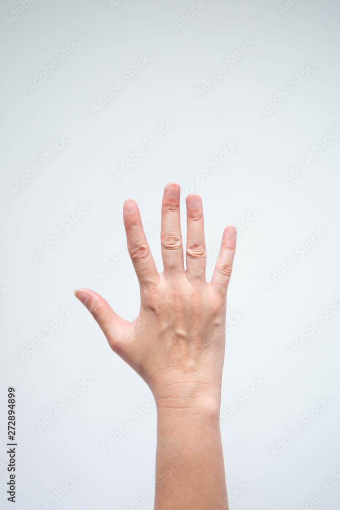 A hand uplift on white background. A hand uplift on white background.