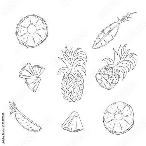 Pineapple, whole and sliced outline illustration set