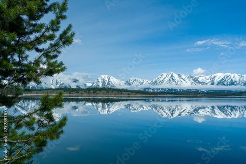 Snowy mountains reflected in calm lake with single pine tree in immediate foreground