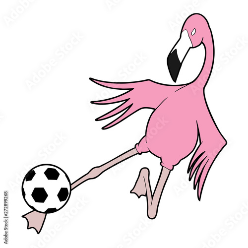 flamingo bird playing football