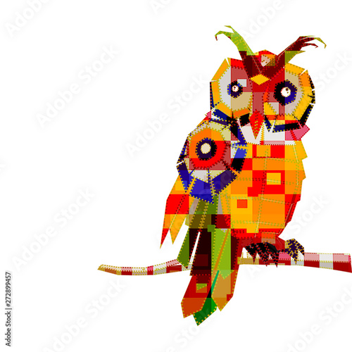 owl (ID: 272899457)