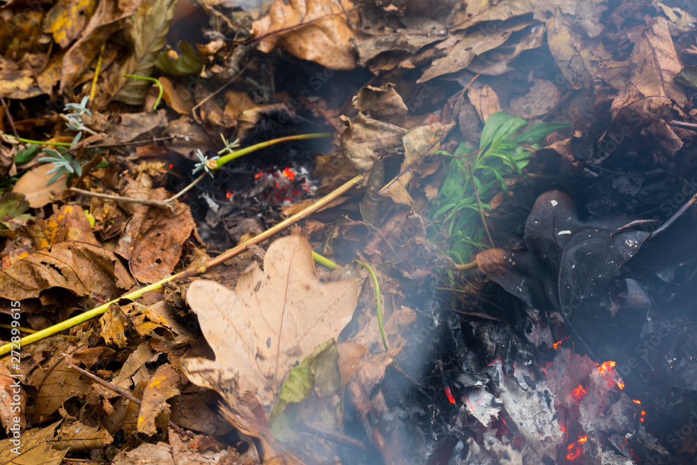 Obraz premium Burning pile of dry leaves and plants during typical autumn garden work