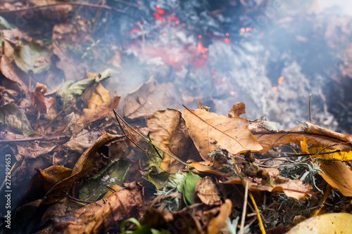 Burning pile of dry leaves and plants during typical autumn garden work