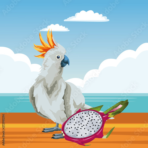 parrot wild cockatoo icon cartoon