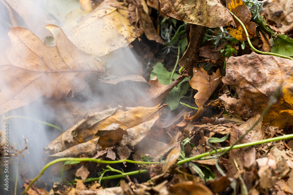 Burning pile of dry leaves and plants during typical autumn garden work Burning pile of dry leaves and plants during typical autumn garden work