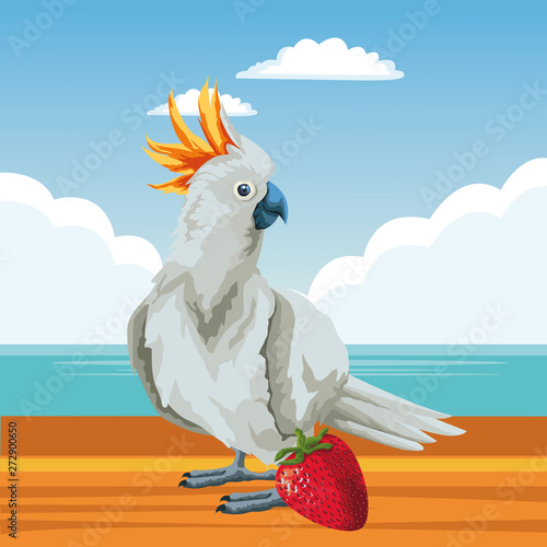 parrot wild cockatoo icon cartoon