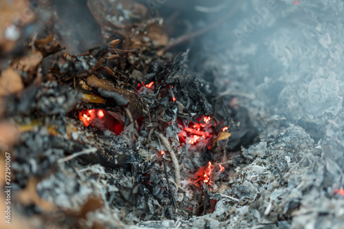 Burning pile of dry leaves and plants during typical autumn garden work