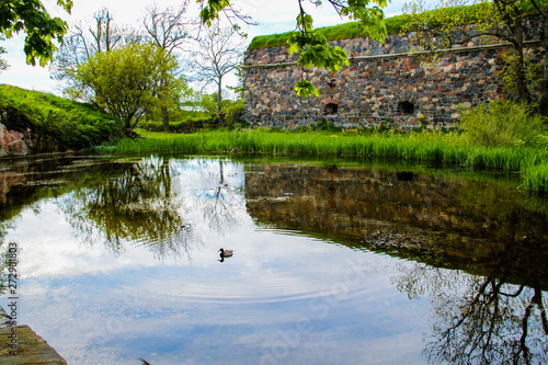 calm lake with duck in the middle swimming and wall in the background