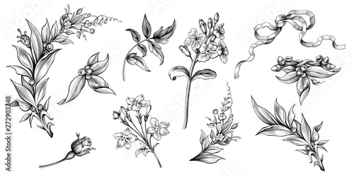 Flower vintage Baroque scroll Victorian frame border floral ornament leaf engraved retro pattern rose laurel decorative design tattoo black and white filigree calligraphic vector
